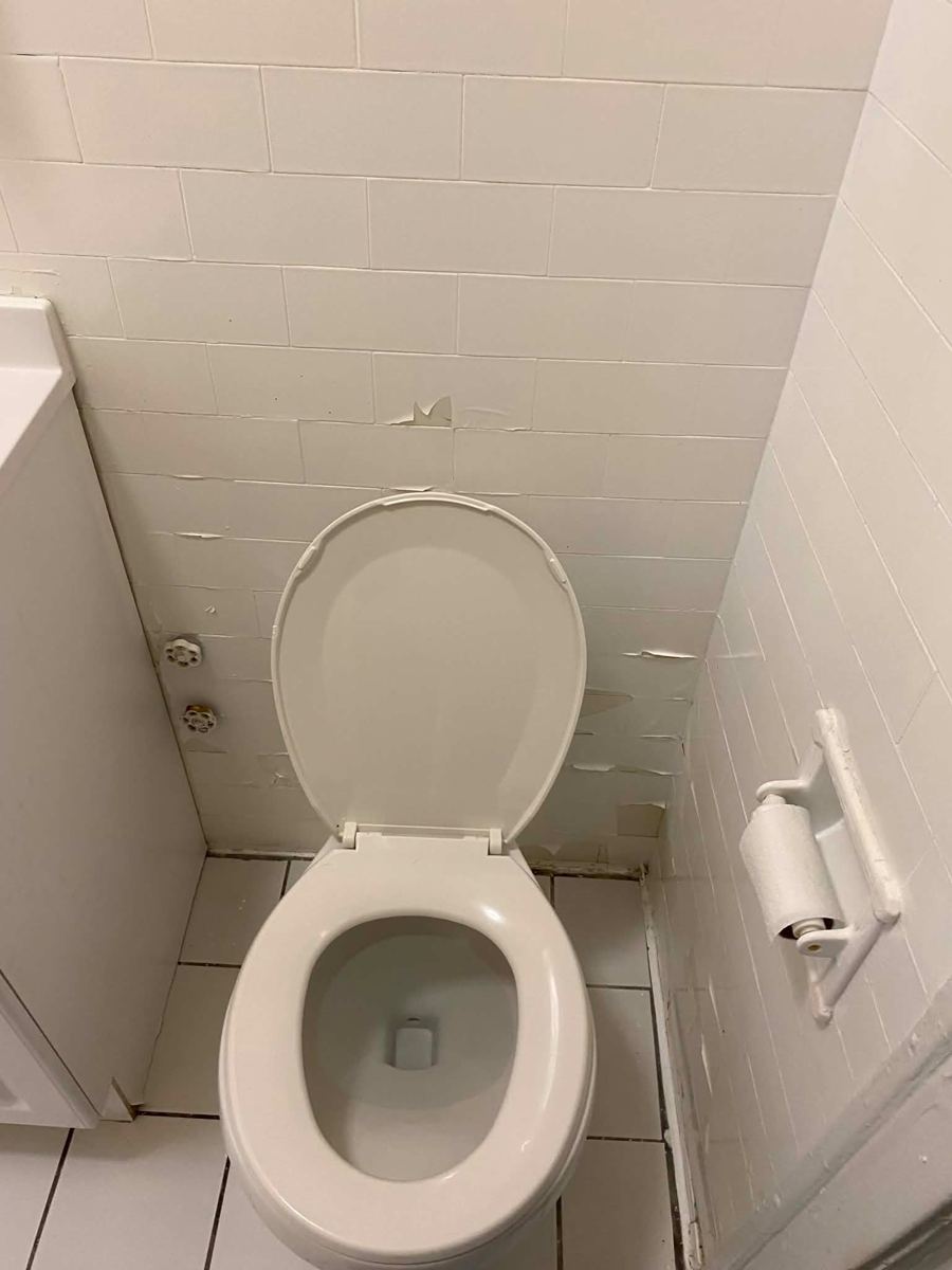 The same toilet scrubbed white