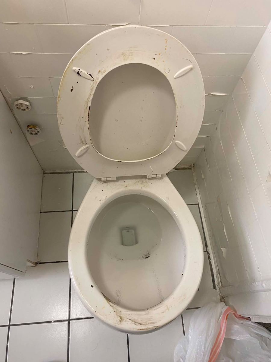 Stained toilet seat and bowl